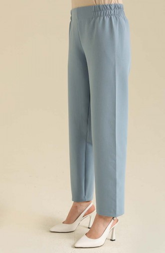 Pantalon Bleu Foncé 2062-31