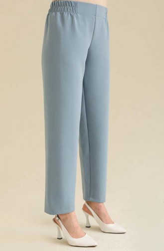 Pantalon Bleu Foncé 2062-31