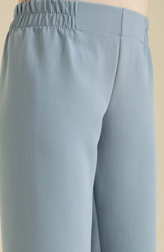Pantalon Bleu Foncé 2062-31