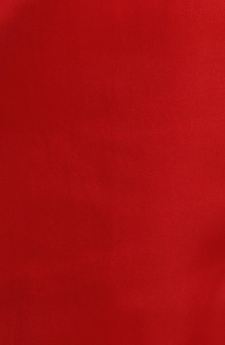 Chemise Rouge 3609-04