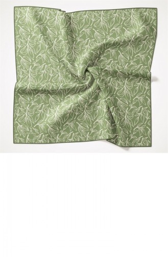 Green Scarf 40957