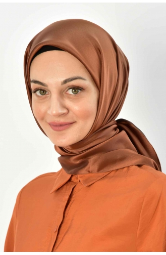 Cinnamon Color Scarf 00007-21