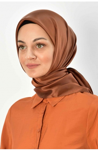 Cinnamon Color Scarf 00007-21
