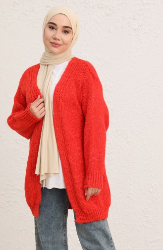 Vermilion Cardigans 2001-03