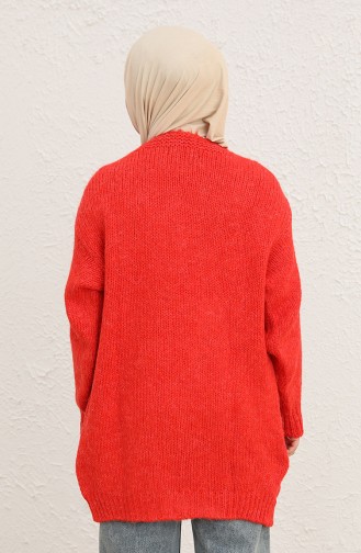 Vermilion Cardigans 2001-03