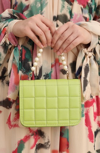 Pistachio Green Shoulder Bags 124-02