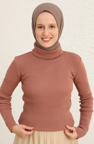 Beige-Rose Pullover 55531-05