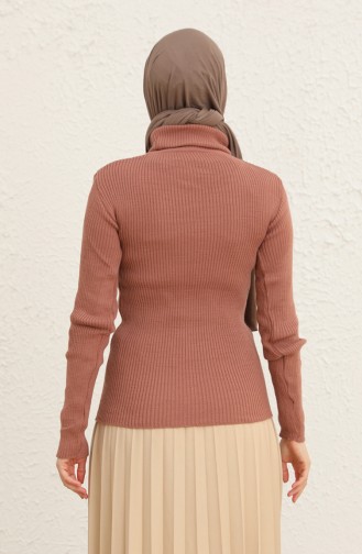 Beige-Rose Pullover 55531-05