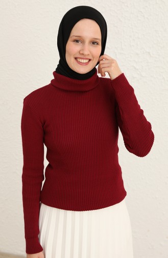 Pull Cerise 55531-08