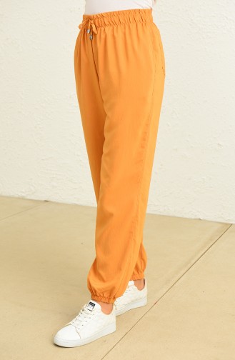 Camel Pants 6108-06