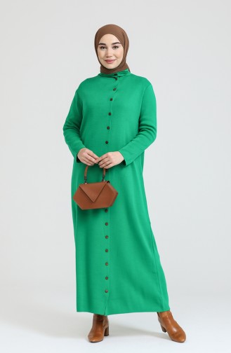 Robe Hijab Vert 3315-10