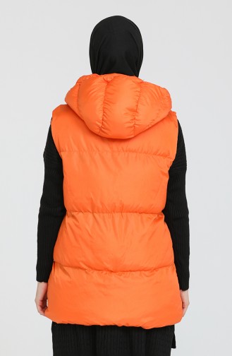 Orange Gilet 2001-04