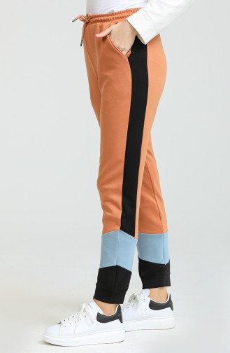 Pantalon Couleur cannelle 22930-01