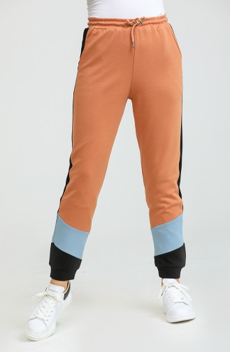 Pantalon Couleur cannelle 22930-01