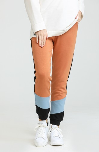 Pantalon Couleur cannelle 22930-01