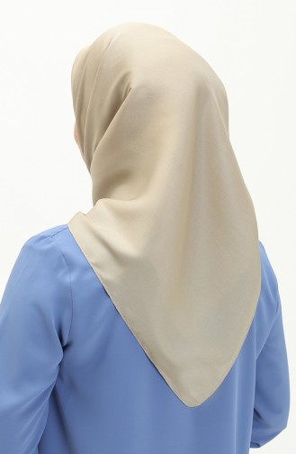 Echarpe Beige Foncé 1098-11