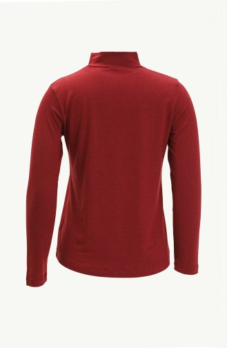 Weinrot Bluse 20636-03