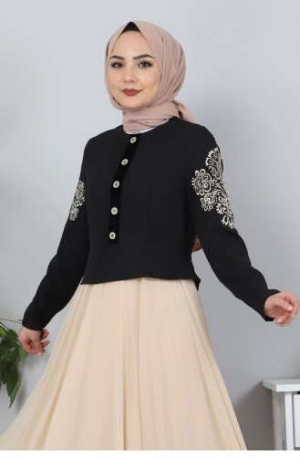 Nakışlı Şifon Abiye Bej 9888