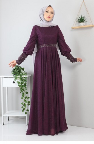 Damson İslamitische Avondjurk 13258