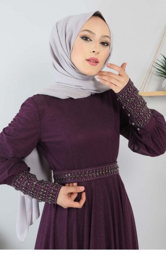 Damson İslamitische Avondjurk 13258