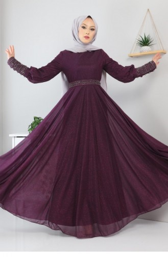 Damson İslamitische Avondjurk 13258