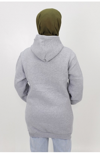 Gray Sweatshirt 3594-02