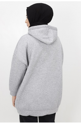 Iowa State Baskili Kapişonlu Sweatshirt 23140-03 Gri