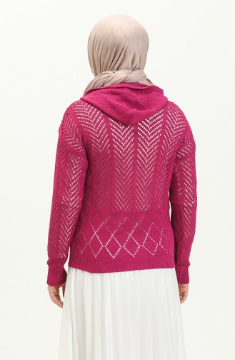Pull Tricot à Capuche Perforé 1091-02 Plum 1091-02