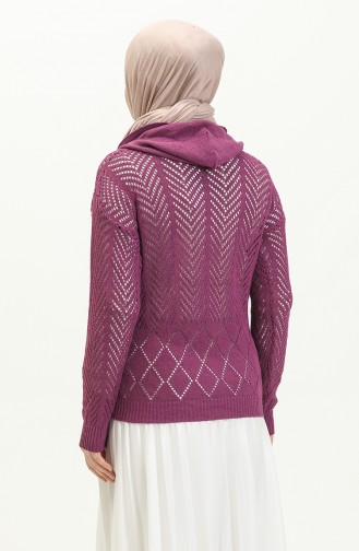 Hooded Perforated Sweater 1091-04 Purple 1091-04