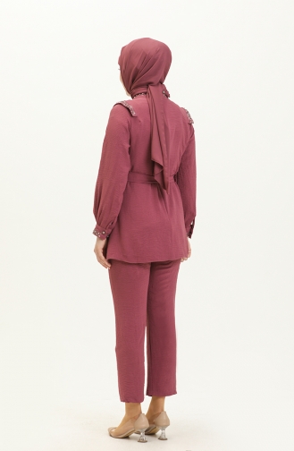 Ensemble Plum 14043