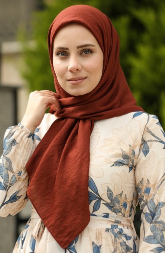 إيشارب سوفت 2005-24 بني جملي 2005-24