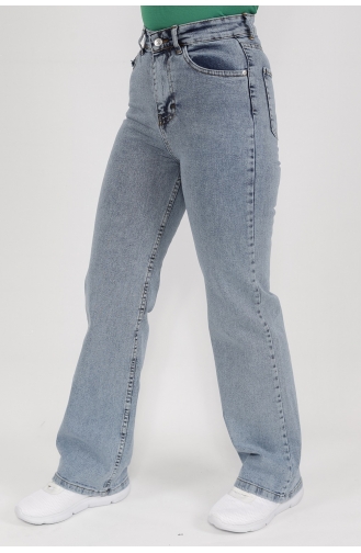 Pantalon Bleu Glacé 1232-02