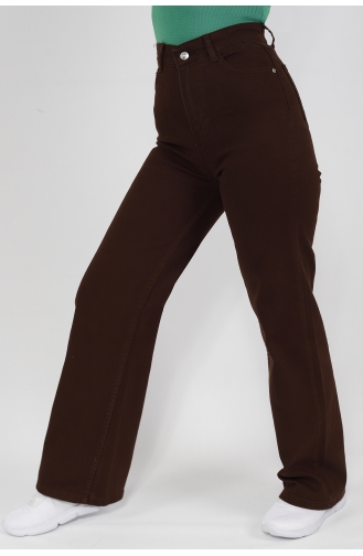 Pantalon Couleur Brun 1232-04