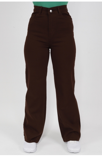 Pantalon Couleur Brun 1232-04