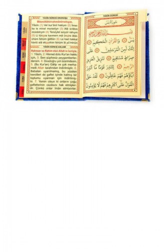  Prayer Rug 23296D