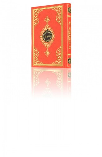  Magazine - Book 20910D