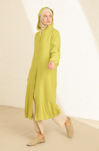 Pistaziengrün Abayas 3031