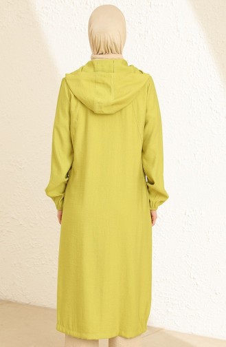 Pistaziengrün Abayas 3031