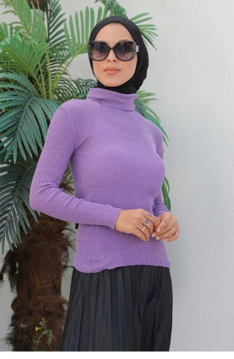 Rollkragen-Strickpullover Flieder 0024MP.LLA