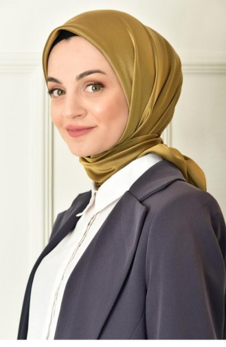 وشاح ذهبي 1588