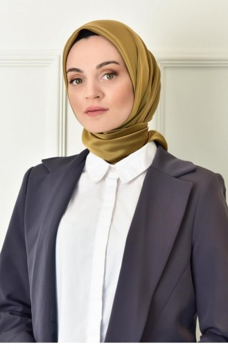 وشاح ذهبي 1588