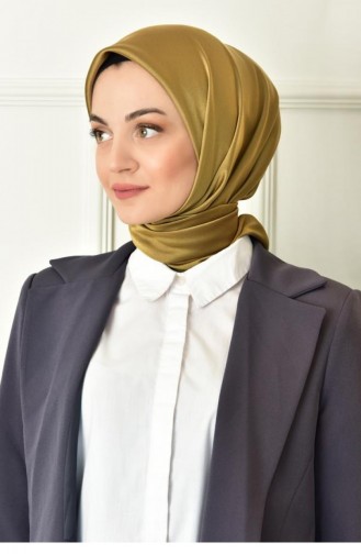 وشاح ذهبي 1588
