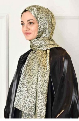 Mink Shawl 1828