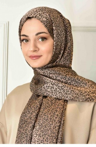 Brown Shawl 1834