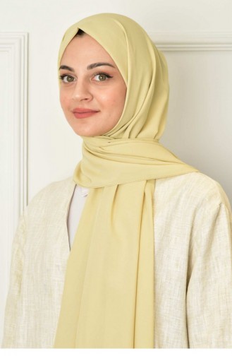 Light Green Shawl 2018