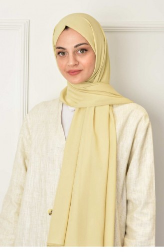 Light Green Shawl 2018
