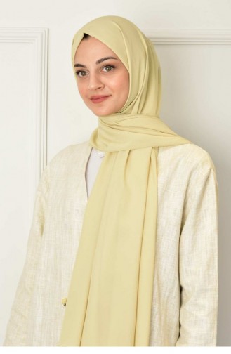 Light Green Shawl 2018