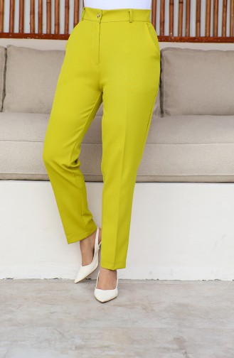 Plus Size Classic Trousers with Pockets 3001-04 Pistachio Green 3001-04