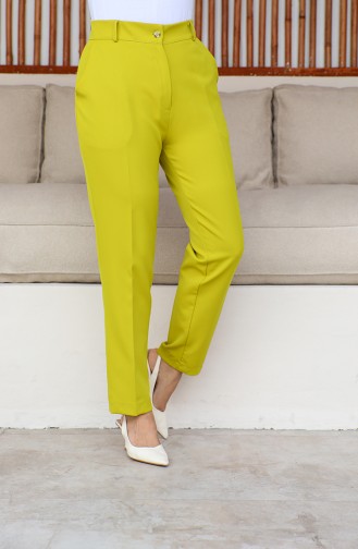 Plus Size Classic Trousers with Pockets 3001-04 Pistachio Green 3001-04