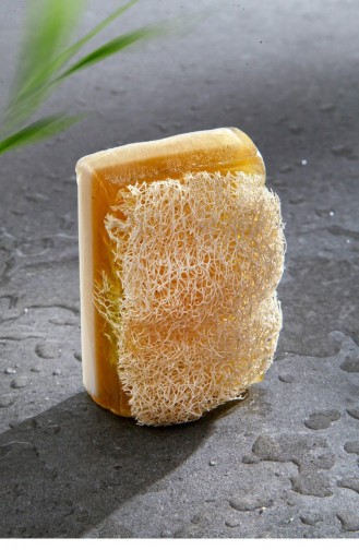 Pumpkin Fiber And Aloe Vera Extract Handmade Soap 8698500909121